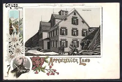Lithographie Säntis /Appenzeller Land, Partie am Berghotel, Gämse