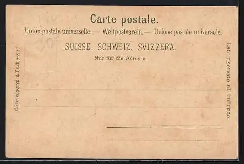 Lithographie Säntis /Appenzeller Land, Partie am Berghotel, Gämse