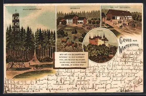Lithographie Winterthur, Gasthof Bruderhaus, Hof Eschenberg, Kyburg
