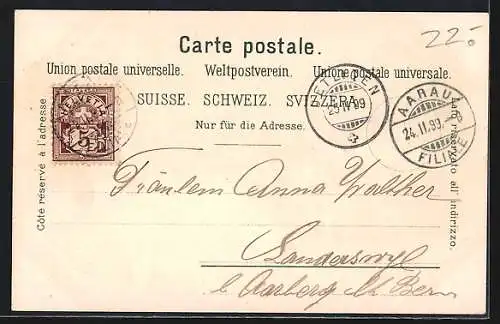 Lithographie Aarau, Kaserne, Gasthof Alpenzeiger, Ortsansicht