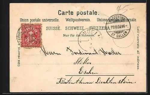 Lithographie Zürich, Rapperswil, Stäfa, Meilen, Küssnacht, Umgebungskarte