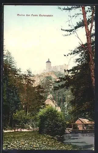 AK Gutenstein, Ruine der Feste Gutenstein