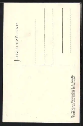 AK Hermannstadt, Strassenpartie in der Pempflingergasse