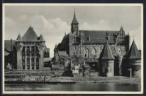 AK Marienburg / Malbork, Blick auf die Westseite der Marienburg