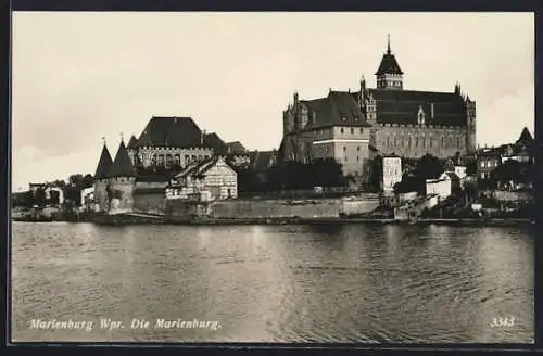 AK Marienburg / Malbork, Blick zur Marienburg