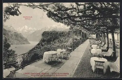 AK Seelisberg, Hotel Sonnenberg, Blick von der Terrasse in die Landschaft