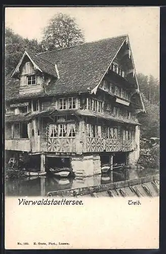 AK Treib, Wirtschaft am Vierwaldstättersee, Boote