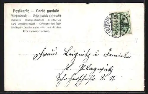 Präge-AK Jahreszahl 1905 aus Veilchen, Neujahrsgruss und Kleeblatt-Rahmen