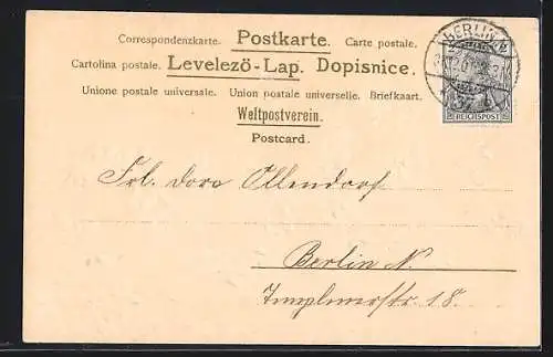 Präge-AK Jahreszahl 1902 aus Blüten vor Winterlandschaft, Neujahrsgruss