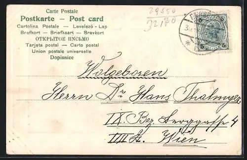 AK Goldene Jahreszahl 1905, Neujahrsgruss und Kleeblätter