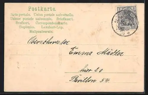 AK Neujahrsgruss mit goldener Jahreszahl 1904 und Tannenzweig
