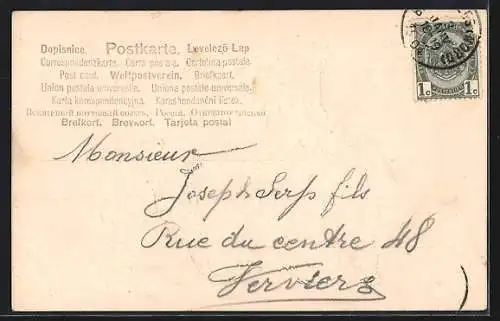 AK Bonne année, Jahreszahl 1904 aus Vergissmeinnicht