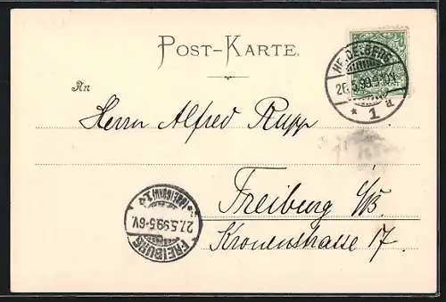 AK Heidelberg, Blick auf die Stadt und den Fluss vom Philosophenweg aus