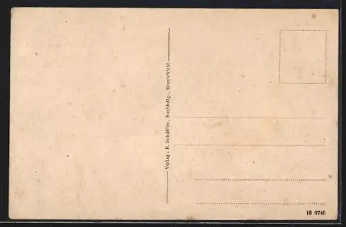 AK Kranichfeld i. Thür., Totalansicht mit Hügel und Schloss im Hintergrund