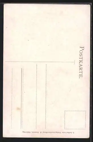 AK Nürnberg, Blick auf Schloss