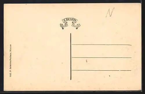 AK Nismes, Panorama pris du midi