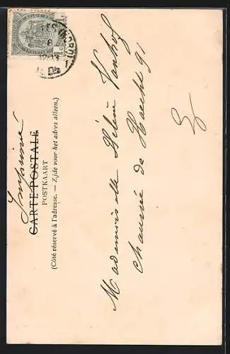 AK Laeken, Fetes Patriotiques du 16 juillet 1905, Vue prise pendant la cantate