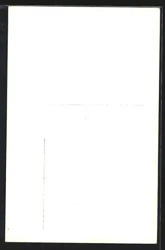 AK Ruhpolding, Haus Beno Oberleitner, Panorama