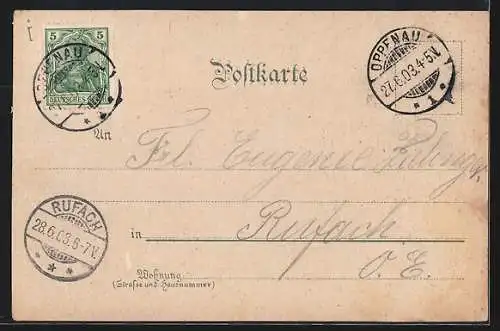 Lithographie Kniebis, Zuflucht, Schwabenschanz u. Aussichtsturm