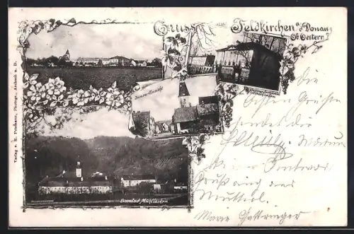 AK Feldkirchen a.d. Donau, Panorama, Esienbad Mühllacken, Schloss Bergheim