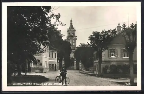 AK Wallsee an der Donau, Ortsansicht
