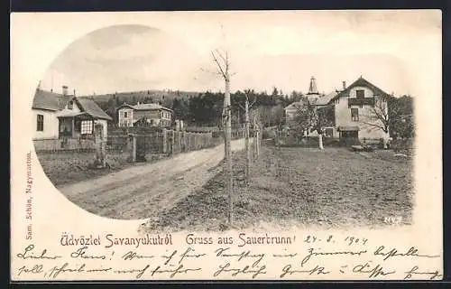 AK Sauerbrunn / Savanyukut, Strassenpartie mit Wohnhäusern