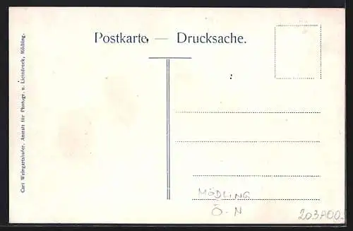 AK Mödling, Gasthaus Meierei Richardhof v. Fritz mit Gartenlokal