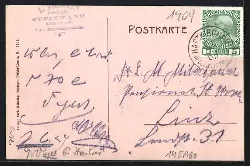 AK Hartkirchen /O.-Oe., Ziegler`s Gasthof mit Eisenbad in Steinwänd, Ruine Stauf