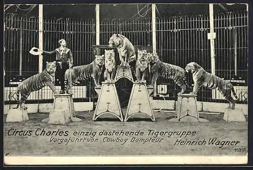 AK Zirkus Charles, Tiger-Dressur von H. Wagner