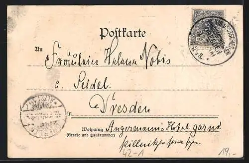 Präge-AK Dresden, Deutsches Bundesschiessen 1900, Brühlsche Terrasse, Zielscheibe und Kornblumen