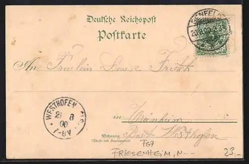 Lithographie Neunkirch, Ortsansicht von oben, Gasthaus zum Rebstock