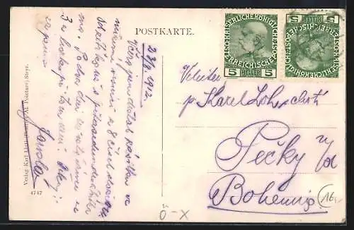 AK Waldneukirchen, Kneipp-Kuranstalt, Strassenpartie im Ort