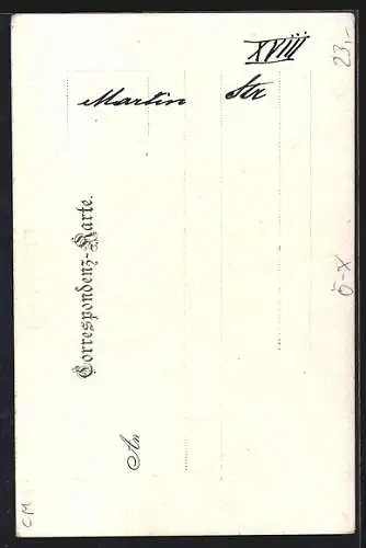 AK Wien, Martinstrasse mit Rathaus