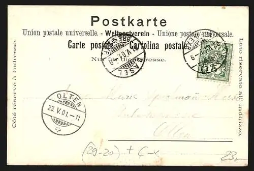 Seiden-AK Basel, Pfalz mit Münster