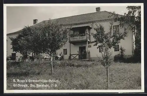 AK St. Oswald bei Freystadt, Gasthaus und Pension Bes. Alois Bauer