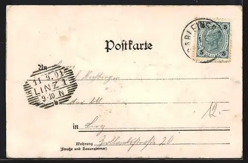 AK Sarleinsbach /O. Ö., Handlung Hieronimus Ecker, Platz, Ortsansicht