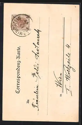 AK Sarmingstein, Die Villa Karger, Totalansicht