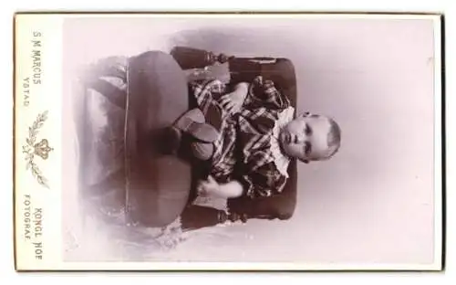 Fotografie S. M. Marcus, Ystad, geteilte Rückseite mit Namen des klg. Hof Fotografen, Schmetterling und Biene