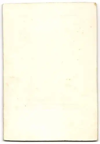 Fotografie Atelier Bauwons, Ougree, 19 Rue de Boncelles, Kind mit Spitzenkragen nebst Spielzeug-Pferd