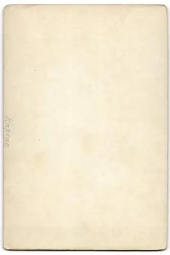Fotografie L. Haidinger, Zell am See, Ansicht Kaprun, Sigmund-Thun-Klamm
