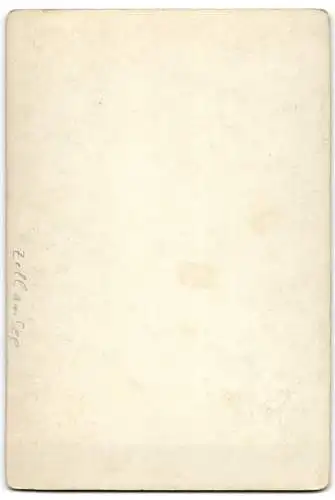 Fotografie L. Haidinger, Zell am See, Ansicht Zell am See, Partie am Kesselfall