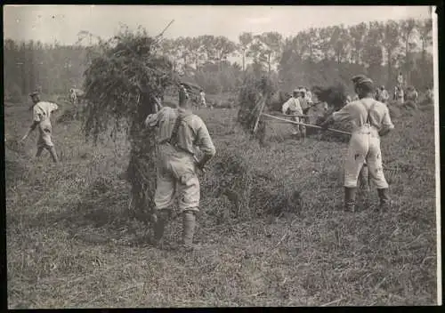 Fotografie POW / Kriegsgefangenen / PG Soldaten leisten Feldarbeit, Arbeitshelfer