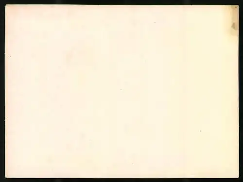 Fotografie Luftbild Fl.A.257 Frankreich Flandern, vom 03.05.1917