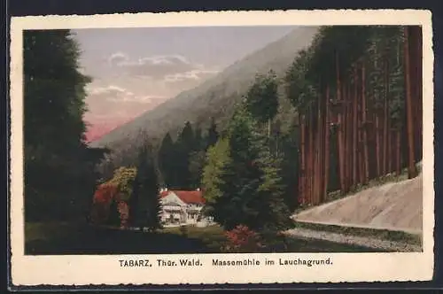 AK Tabarz /Thür. Wald, Massemühle im Lauchagrund