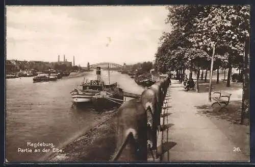AK Magdeburg, Elbpartie mit Dampfer