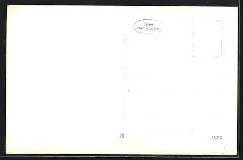 AK St. Veit an der Gölsen, Wiesenfeld, Gesamtansicht vom Hügel aus