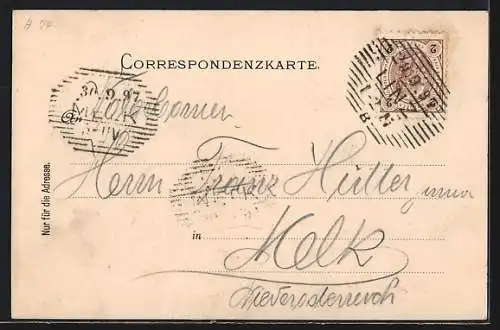 AK Linz a.d. Donau, Historische Totalansicht anno 1597, Bibelszenen, Wappen, Münzen, Um 1900