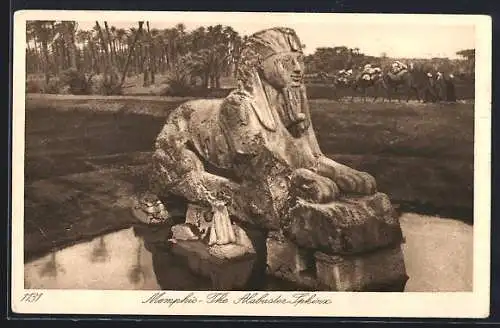 AK Memphis, The Alabaster Sphinx