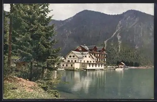 AK Plansee /Tirol, Das Hotel Forelle