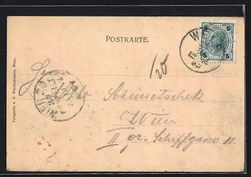 AK Wels, Totalansicht über den Fluss